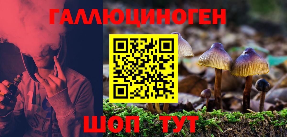Псилоцибиновые грибы Cubensis  Вход с VPN  Одинцово 